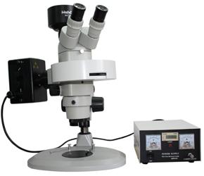 供应体现显微镜-极高性价比体视荧光显微镜MZX8
