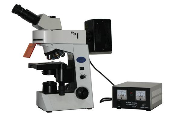 供应克拉玛依荧光显微镜MF41