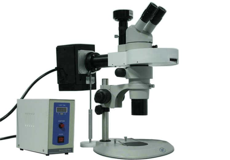 供应极高性价比体视荧光显微镜MZX80