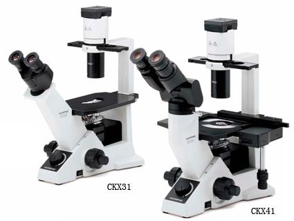 供应济南市OLYMPUS倒置显微镜CKX31