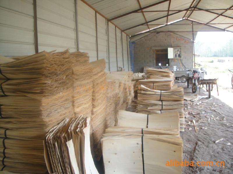 供应杨木单板板皮杨木单板板皮用途