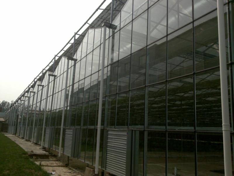 供应玻璃温室工程