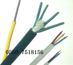 供应防腐电缆/DJFVP维尔特电缆