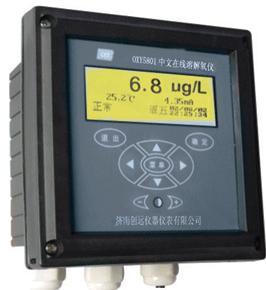 供应OXY5801中文在线溶氧仪