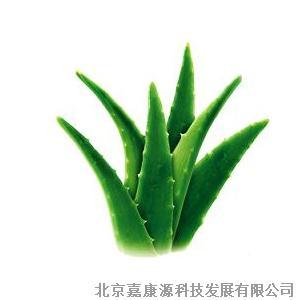 供应芦荟提取物︱北京惠康源生物科技有限公司图片
