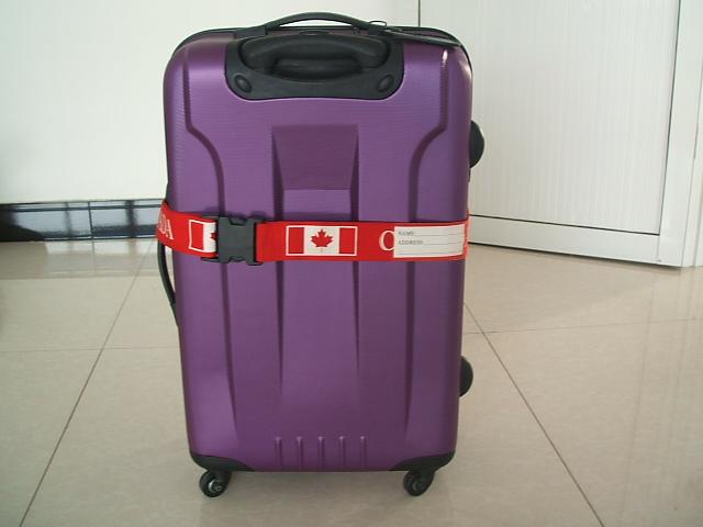 箱包旅行带行李带背包配件批发