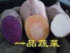 供应金华农产品红薯