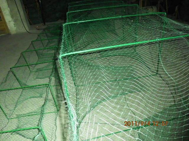 供应大地笼网渔具地笼网专业捕鱼笼