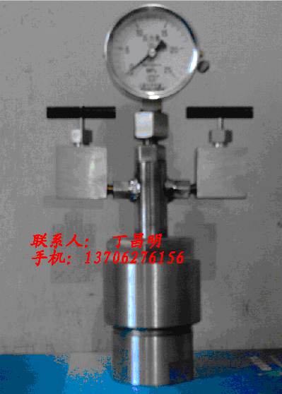微型高温高压超临界反应器
