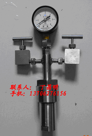 供应化工仪器/微型高压反应釜