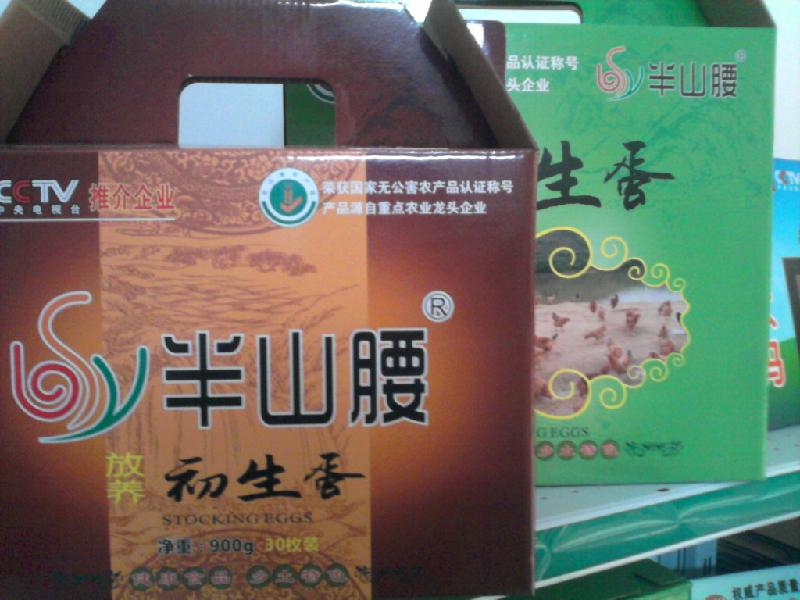 供应广州最大的正宗初生蛋销售公司