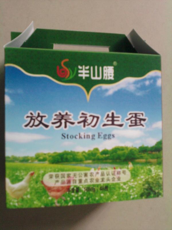 广州市广州最大的礼盒初生蛋企业厂家供应广州最大的礼盒初生蛋企业