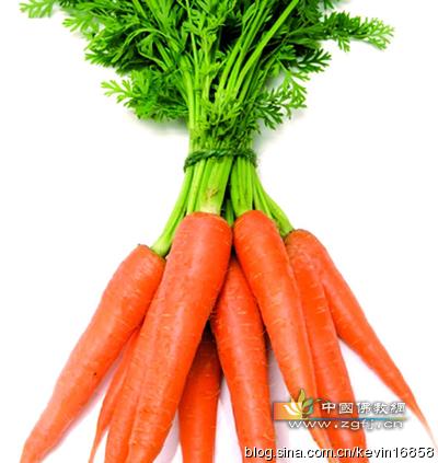 B-胡萝卜素图片