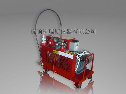 专业生产石油化工仪器呼吸空气充气泵