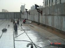 供应上海专业补漏防水，上海专业防水，上海专业防水堵漏公司