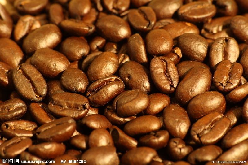 供应咖啡新豆云南小粒咖啡新豆