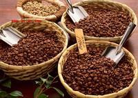 供应咖啡豆