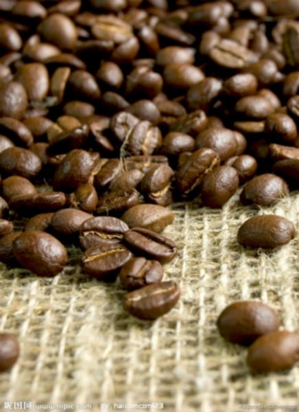 供应云南小粒咖啡怎么样，云南咖啡多少钱一斤，捷品云南小粒咖啡