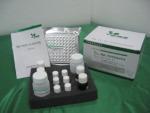 供应人胰岛素ELISA试剂盒