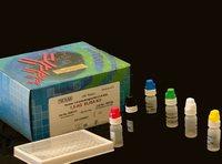 供应人白介素2受体ELISA试剂盒