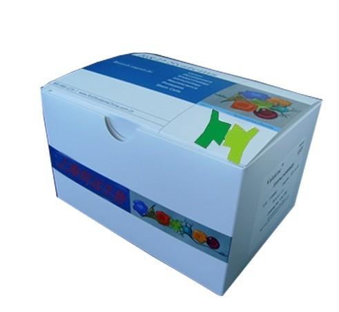 供应人乳酸脱氢酶(LDH)ELISA试剂盒图片