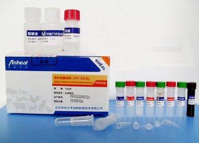 供应人胰岛素试剂盒