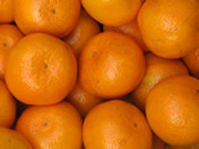 南平市血橙2400元吨厂家供应血橙2400元吨