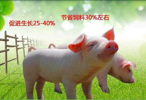 猪饲料厂家排行榜表情猪饲料品牌排行榜猪饲料表情包人气排行榜3
