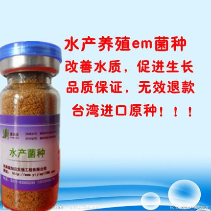 郑州市水产em菌种菌液的应用技术益加益水厂家