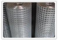 供应我厂专业生产各种规格/镀锌电焊网/浸塑电焊网pvc电焊网