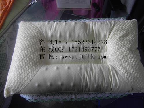 供应高效远红外磁疗枕 负离子磁疗枕 保健磁疗枕  