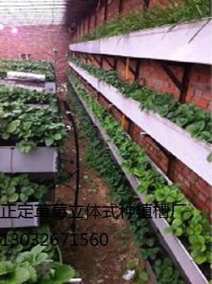 供应富民果蔬立体栽培槽雾培箱、水培箱 立体种植槽 立体种植，阳台种植槽 草莓立体种植槽图片