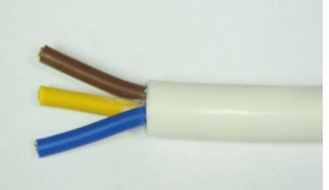 RVV 20.75 护套线 电源线 电缆线 橡胶电线电缆  上海厂图片