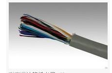 双屏蔽电缆 双绞线缆 计算机通讯电缆 信号线 DJYPVP DJYP图片