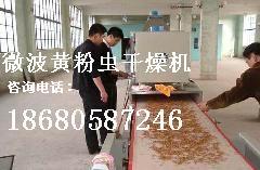 广州市广州科威QW-12H微波干燥设备厂家供应广州科威QW-12H微波干燥设备生产厂家