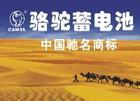 供应郑州骆驼汽车电瓶代理上门以旧换新图片