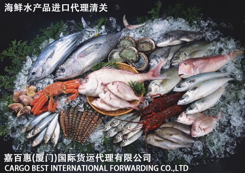 鲜活海鲜清关代理公司专业操作进口活龙虾图片