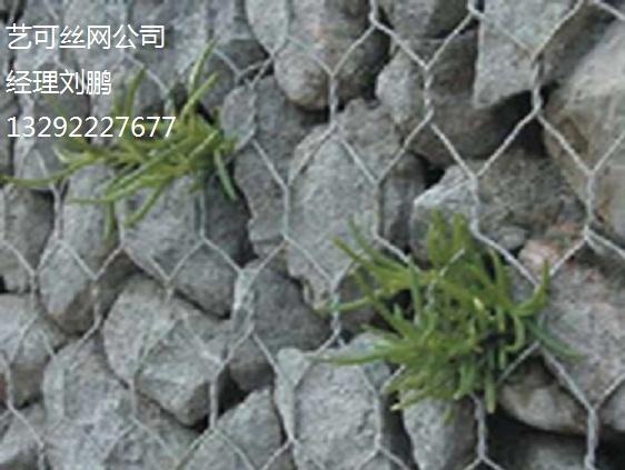 供应六角石笼网/六角石笼网规格/报价优质丝机扭曲和编织双绞格网电焊网图片