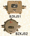 BKZP51-52口型防爆扩音转接器批发