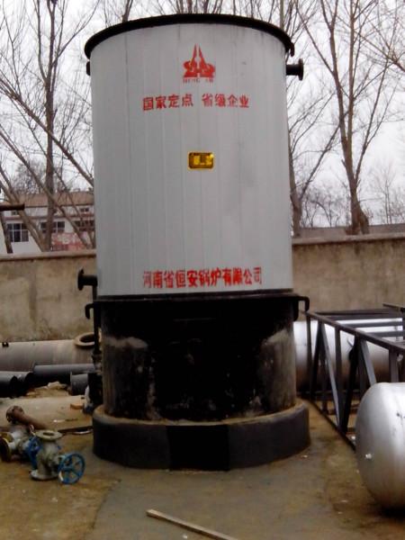 供应YGL立卧式燃煤导热油炉