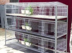 徐州市兔笼厂家双信筛网加工定做兔笼