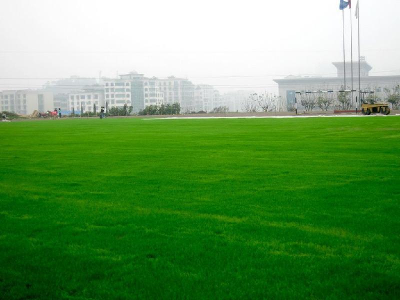 上海南通苏州人工草坪人造草坪防真草坪施工价格施工设计图片