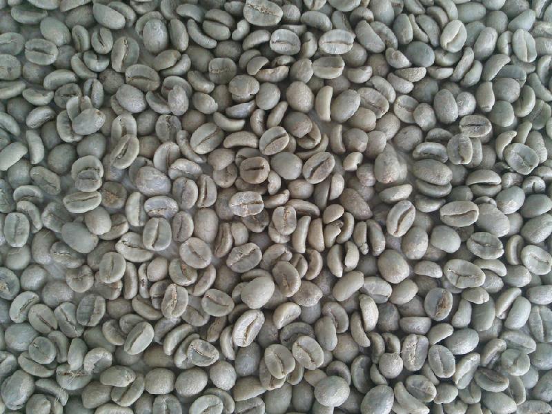 越南17目咖啡豆批发