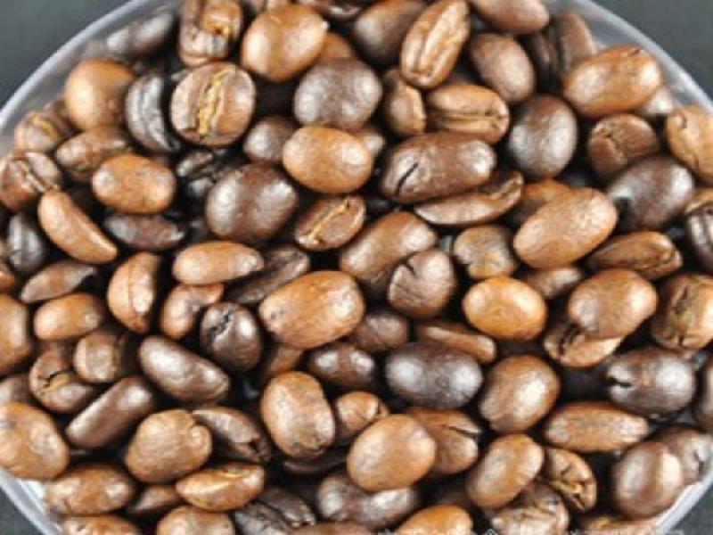 大型咖啡生产厂家 低价供应越南阿拉比卡咖啡熟豆JD-3 量大从优