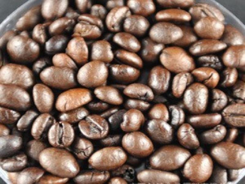 广东厂家直销越南阿拉比卡咖啡熟豆JD-2   500kg起订 
