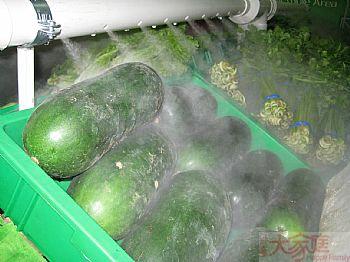 供应水果蔬菜超声波负离子大功率大流量加湿器图片
