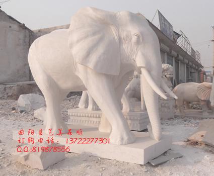 供应曲阳石雕大象，汉白玉大象，雕刻之乡厂家石头大象价格，守门雕塑图片