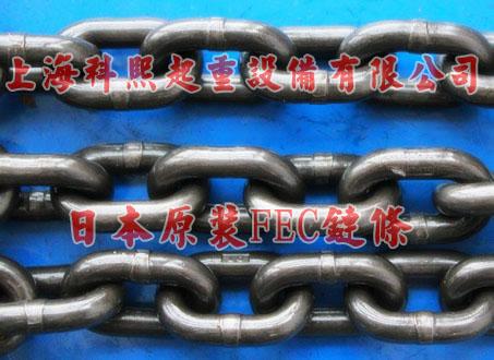 供应日本进口FEC起重链条/FEC80级合金钢链条/吊索具葫芦专用图片