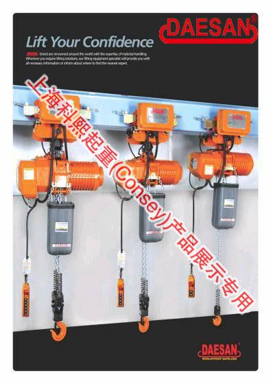 供应进口大山牌环链电动葫芦/韩国第一品牌DAESAN环链电动葫芦图片