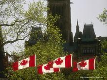 供应加拿大留学签证拒签再签